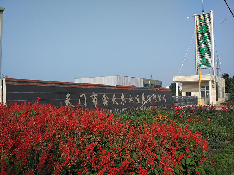 鑫天農業(yè)外景